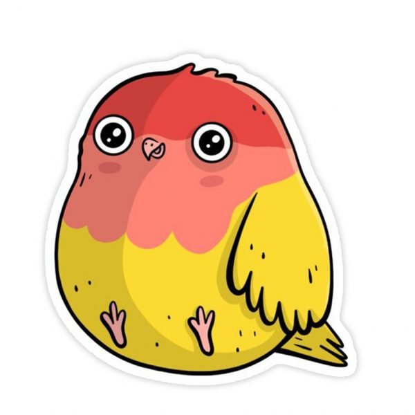 Creative Printed Multi use Sticker