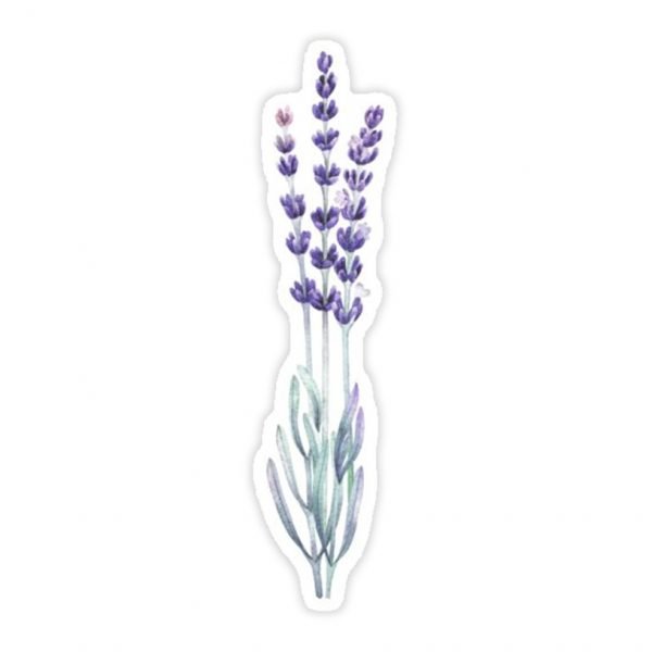 Creative Printed Multi use Sticker