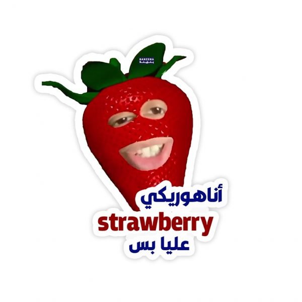 Creative Printed Multi use Sticker