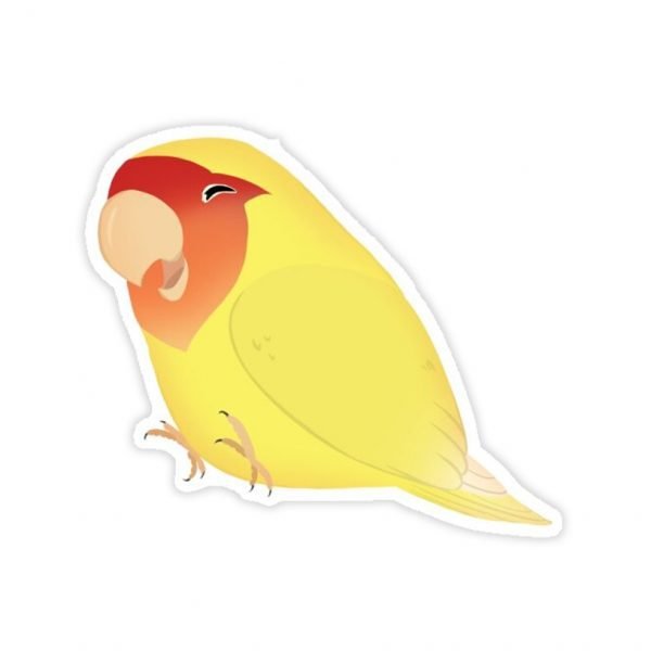 Creative Printed Multi use Sticker