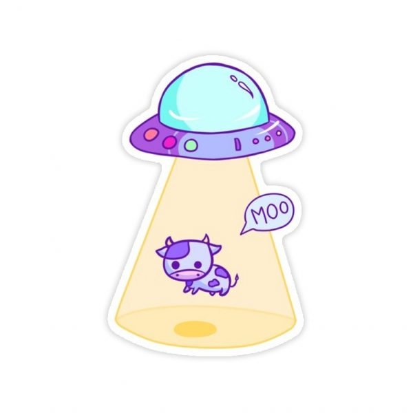 Creative Printed Multi use Sticker