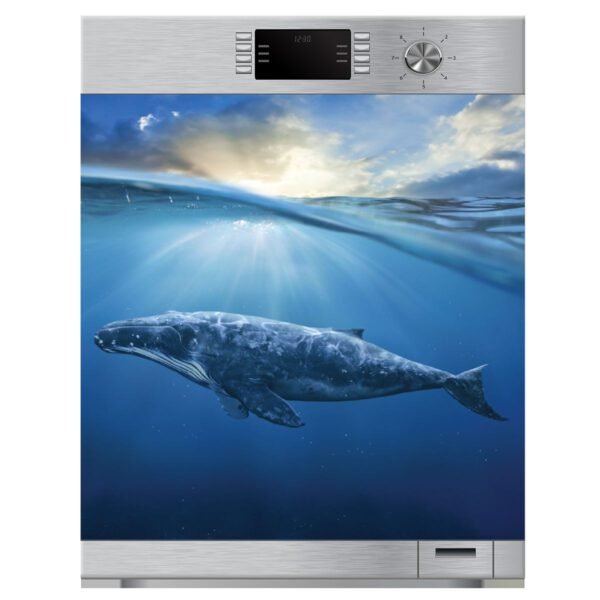 Decorative Dishwasher sticker