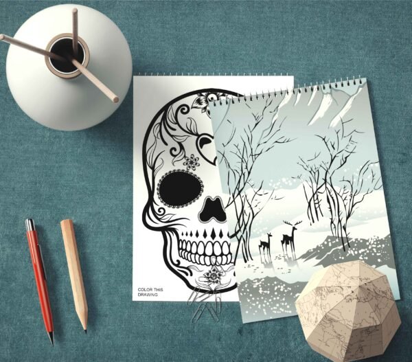 EXCLUSIVE DRAWING SKETCH