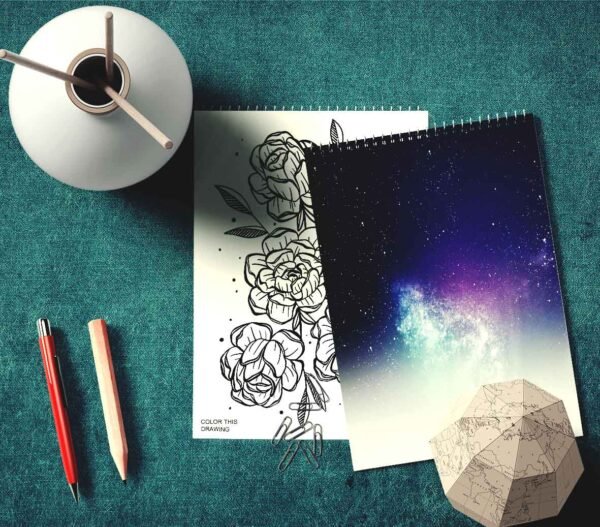 EXCLUSIVE DRAWING SKETCH