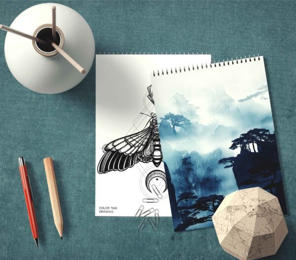 EXCLUSIVE DRAWING SKETCH