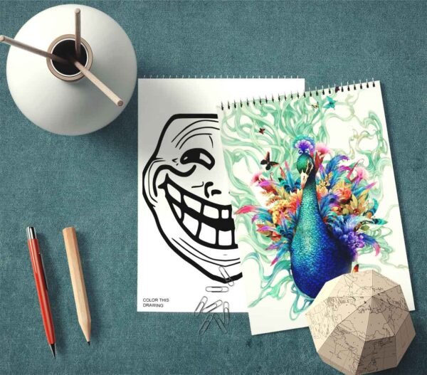 EXCLUSIVE DRAWING SKETCH